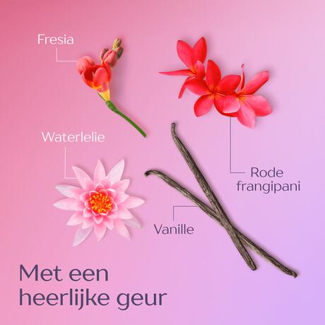 Andrélon Levendige Kleur Crème Masker Jar 300 ML