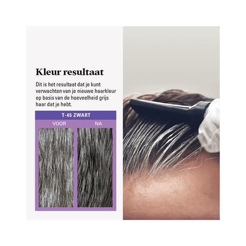 Just For Men Touch of Grey T45