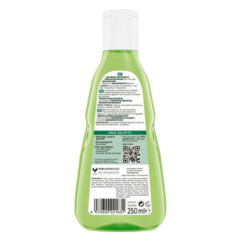 Guhl Fris & Luchtig Shampoo 250 ML