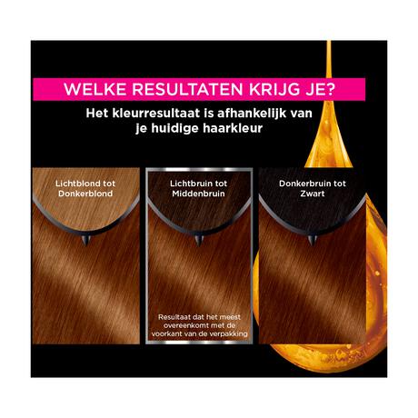 Garnier Olia Permanente Haarverf 5.3 Licht Goudbruin