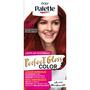 Poly Palette Perfecte Gloss Color Haarverf 680 Subtiel Brouge