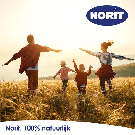 Norit 200 MG Capsules 30 stuks