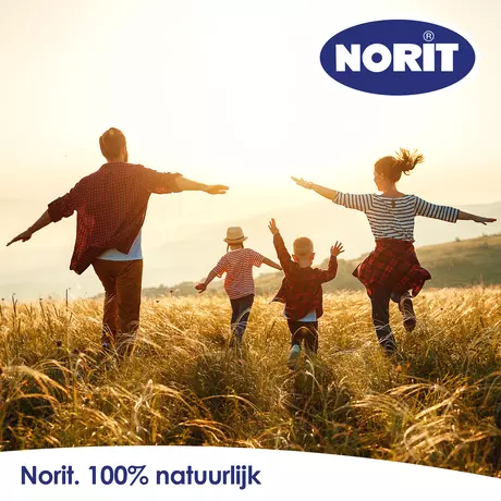 Norit 200 MG Capsules 30 stuks