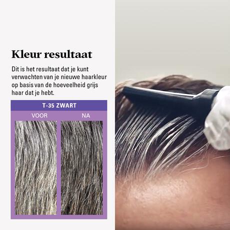 Just For Men Touch of Grey T35