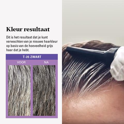 Just For Men Touch of Grey T35