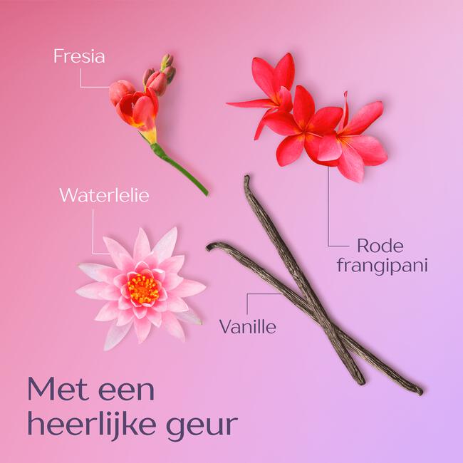 Andrélon Levendige Kleur Crème Masker Jar 300 ML