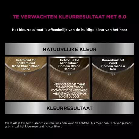 Garnier Olia Permanente Haarverf 6.0 Donkerblond
