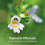 Weleda Ogentroost Oogdruppels Flacon