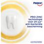 Prodent Wit + Fris Tandpasta 75 ML