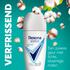 Rexona Woman Advanced Protection Cotton Dry Deodorant Roller 50 ML