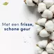 Dove Original 0% Deodorant Spray 150 ML
