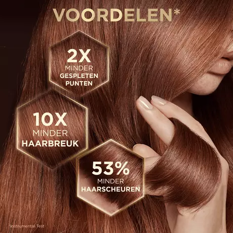 Garnier Loving Blends Honing Goud Herstellende Shampoo 300 ML
