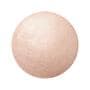 Bourjois Maxi Rond Pot Highlighter 003 Highlighter