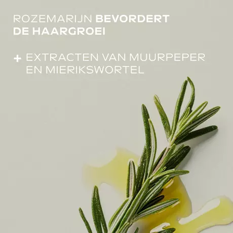 Weleda Rozemarijn Revitaliserende Haarlotion 100 ML