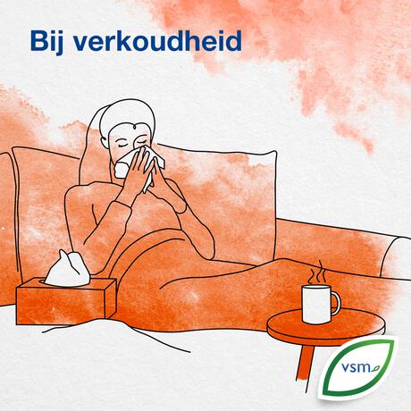 Vsm Nisyleen Pelargonium Tabletten 20 GR