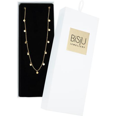 BiSjU Jewellery Ketting Munt Gold Plated