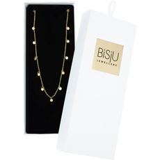 BiSjU Jewellery Ketting Munt Gold Plated