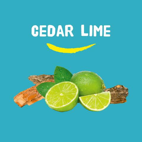 Happy Earth 100% Natuurlijke Cedar Lime Handzeep 300 ML