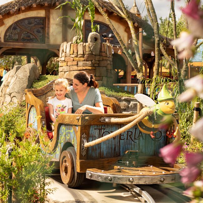 Entreeticket Toverland Kinderen 90-140 cm