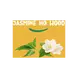 Happy Earth 100% Natuurlijke Jasmine Ho Wood Deodorant Spray 100 ML