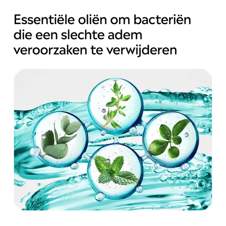 Listerine® Coolmint Mondwater 500 ML