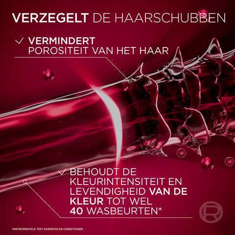 L'Oréal Paris Elvive Color Vive Shampoo 250 ML