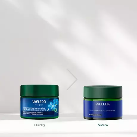 WELEDA Blauwe Gentiaan & Edelweiss Versterkende Nachtcrème 40 ML