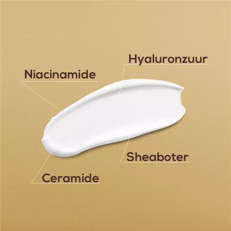 Biodermal Anti Age 60+ Dagcrème SPF15 50 ML