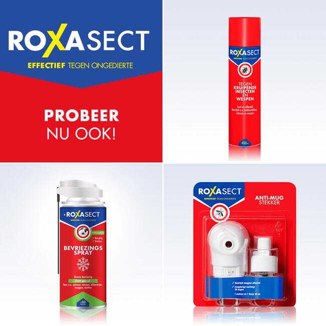 Roxasect Spuitbus Vliegende Insecten 400 ML