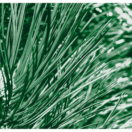 Kneipp Men 2-in-1 Nature Feeling Douchegel 200 ml