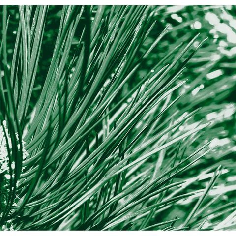 Kneipp Men 2-in-1 Nature Feeling Douchegel 200 ml