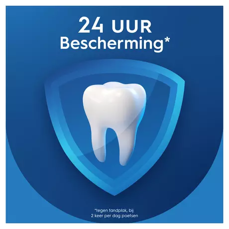 Oral-B Pro-Expert Professionele Bescherming Tandpasta 75 ML