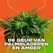 AXE Jungle Fresh 3-in-1 Douchegel 250 ML