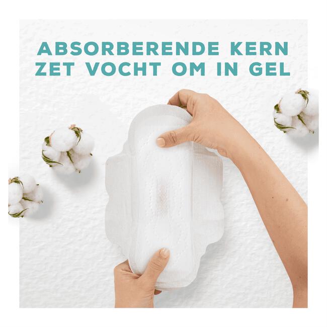Always Cotton Protection Maandverband Night Met Vleugels 8 Stuks