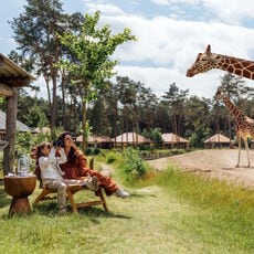 Safari Resort Beekse Bergen Weekend Hoogseizoen