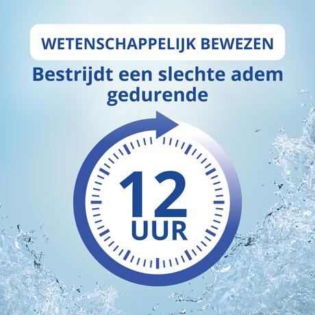 CB12 Original Mondwater 250 ML