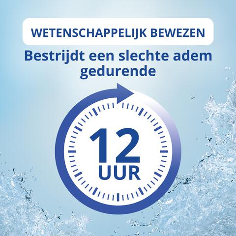 CB12 Original Mondwater 250 ML