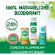 Happy Earth 100% Natuurlijke Whole Body Cedar Lime Deodorant Spray 100 ML
