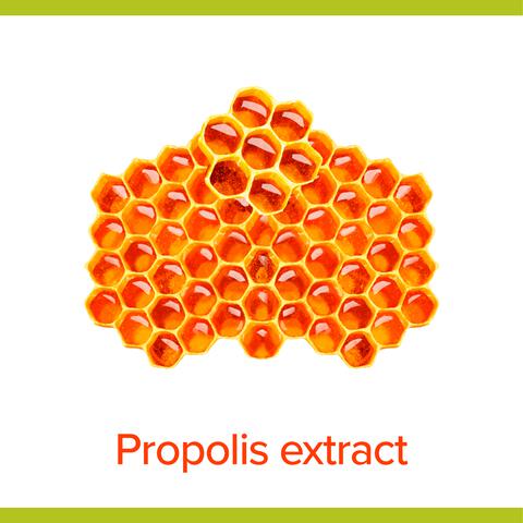 Palmolive Hygiëne Plus Family Antibacteriële Vloeibare Handzeep 500 ML