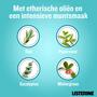 Listerine® Cool Mint Milde Smaak Mondspoeling 500 ML