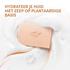 Dove Bar Soap Coconut Milk & Lychee