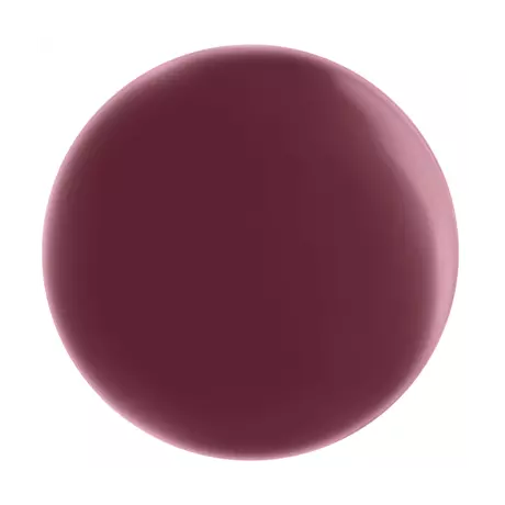 Max Factor Miracle Pure Vegan Nagellak 373 Regal Garnet