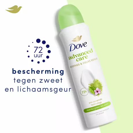 Dove Advanced Care Matcha & Sakura Anti-transpirant Deodorant Spray 150 ML