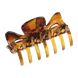 Etos Haarklem Medium Bruin