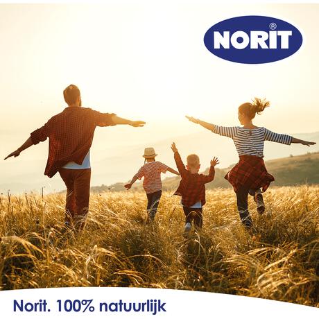 Norit 200 mg 30 Capsules