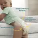 Pampers Baby Dry Luiers Maat 8 17+ kg 19 stuks
