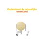 Roter Vitamine C 70 mg citroen 200 kauwtabletten