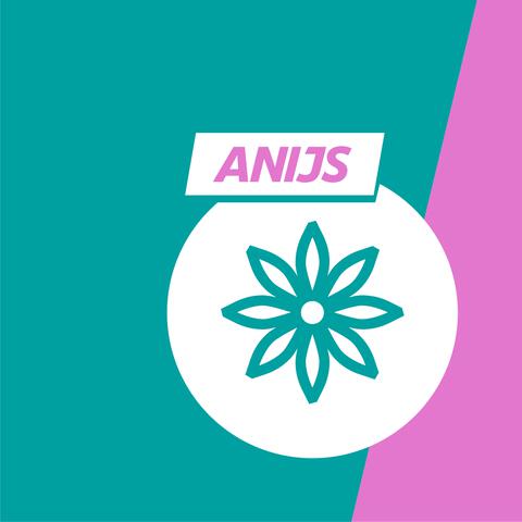 Gaviscon Maagzuurremmer Anijs Suspensie 200 ML