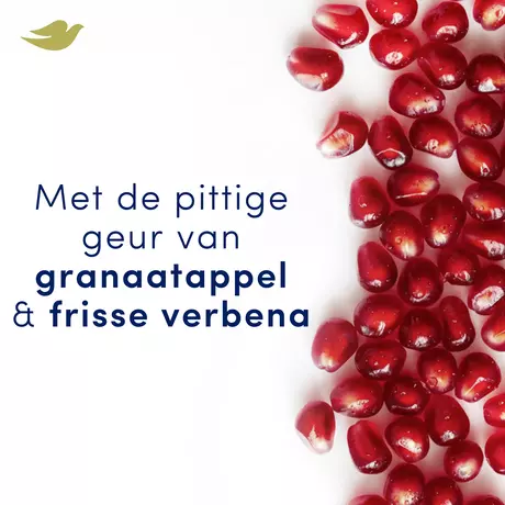 Dove Go Fresh Pomegranate Anti-Transpirant Deodorant Spray 150 ML