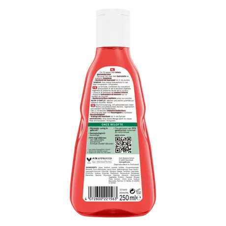 Guhl Kleurbehoud & Verzorging Shampoo 250 ML